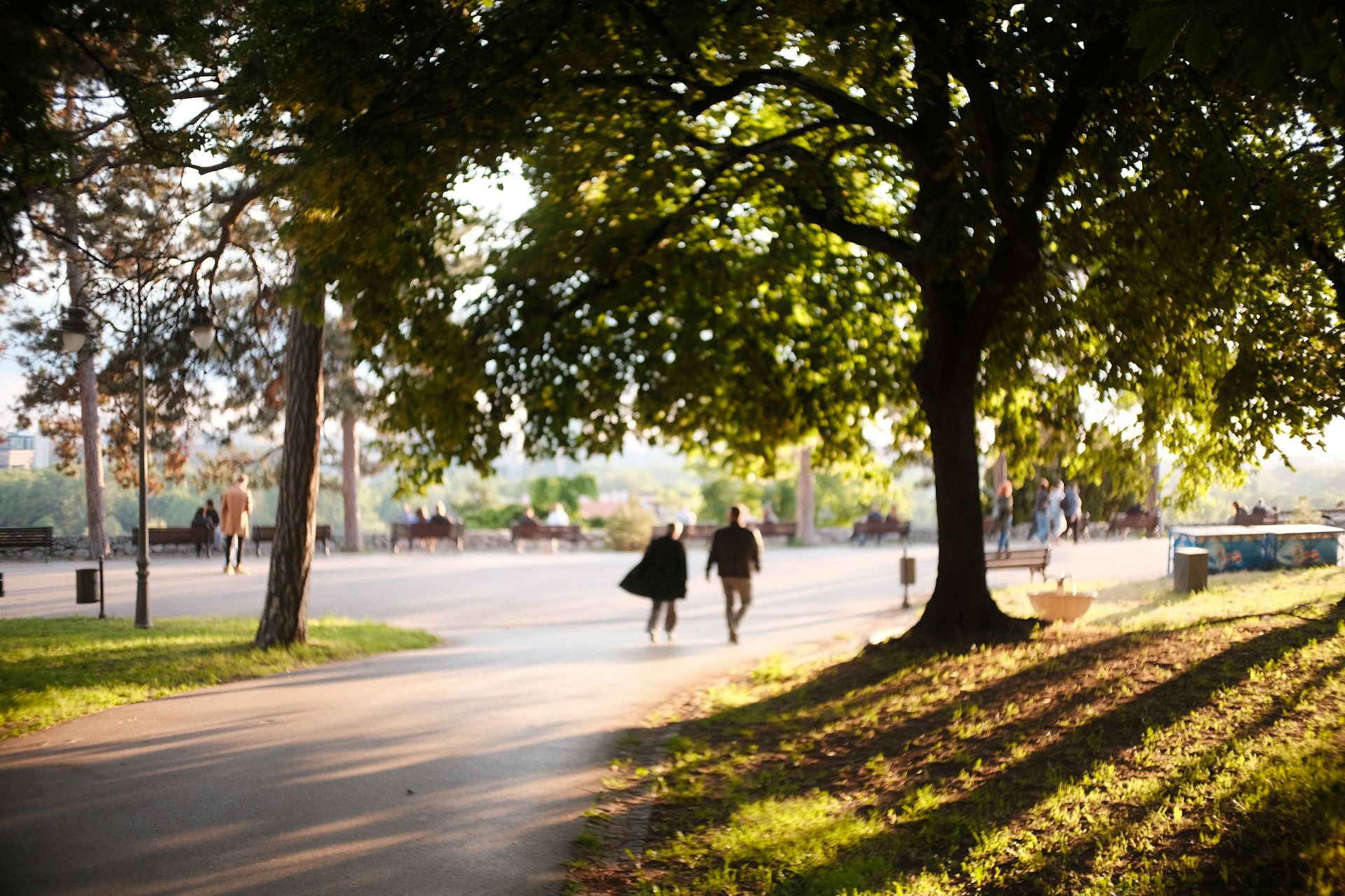 Couple walking together on a sunny park path