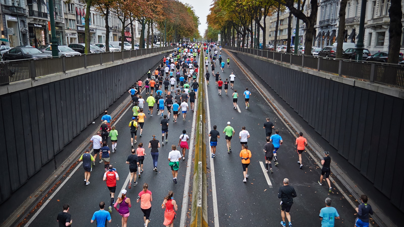 Runners on a tree-lined boulevard