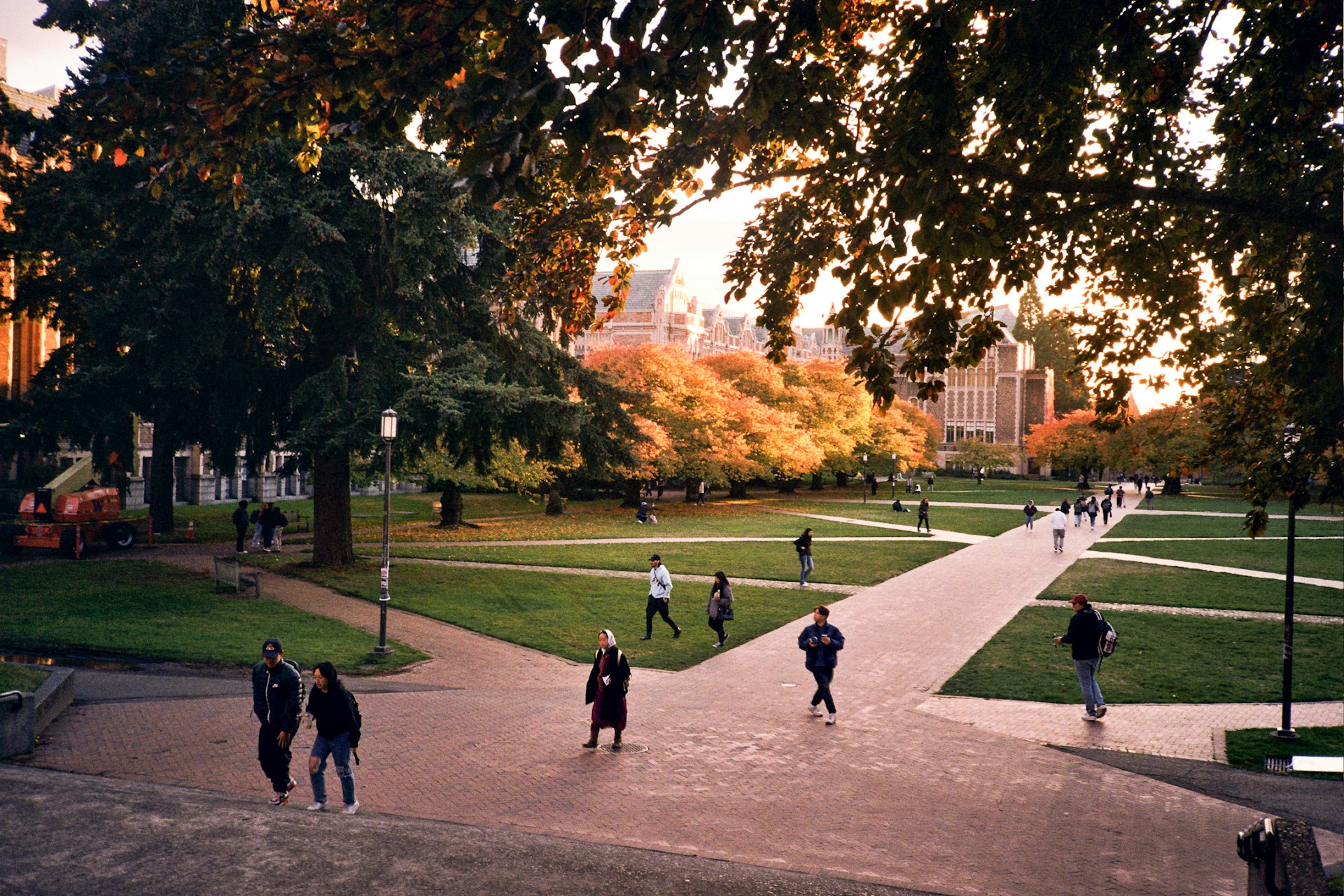 People walking along multiple park paths during golden hour