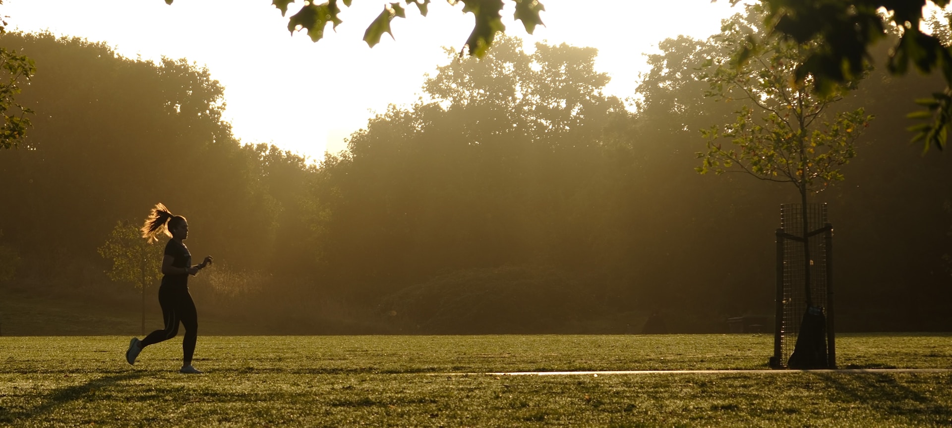 A person running through a park at sunrise