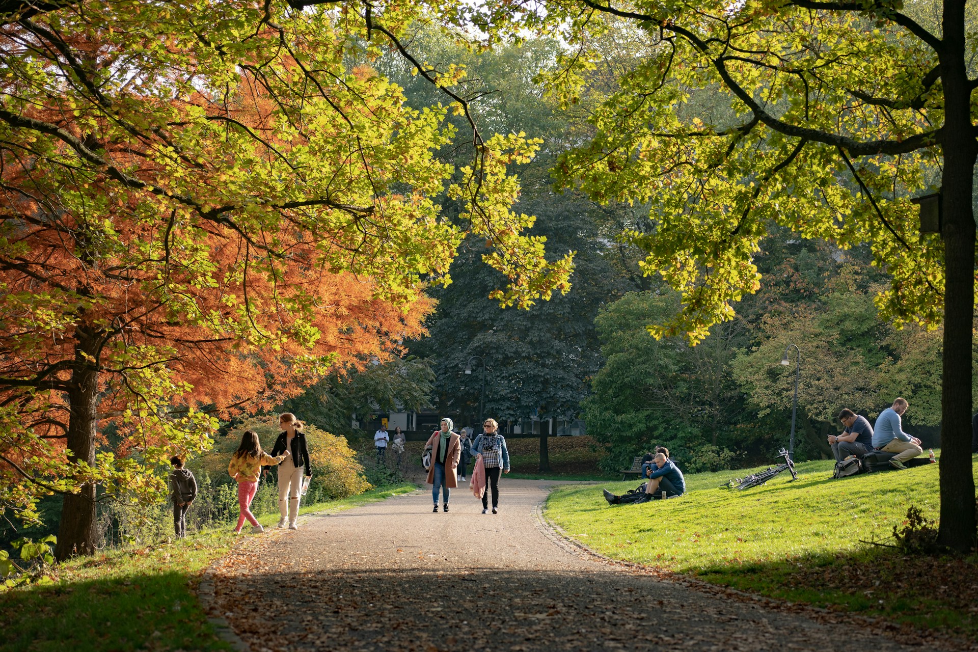 People strolling down a wooded park path under canopied trees